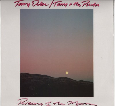 Terry Dolan Pirate - Rising Of The Moon - white vinyl - www.jiggyjamz.com