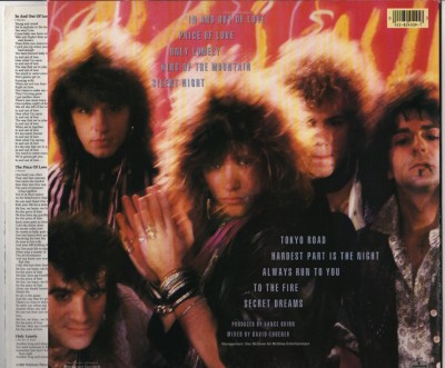 Bon Jovi - 7800 Fahrenheit - LP - vinyl Record - www.jiggyjamz.com